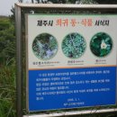 바당바다