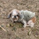 정선가축병원 이미지