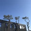 소양강휴게소 | 춘천 소양강뷰 맛집 소울로스터리 대형 카페 내돈내산 후기(영업시간/위치/주차)