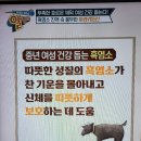 알맹이 흑염소 진액의 효능 이미지