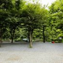 금방아 민박 캠핑장 이미지