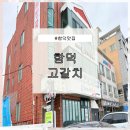 쪼쪼애견 | 함덕맛집 함덕고갈치｜통유리창 함덕해수욕장 뷰 + 갈치 길이 실화? 아이랑 가족식사 후기