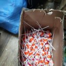 시립맘e편한어린이집 이미지