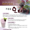 무등골 - 안산시 단원구 선부광장로 27 | 무등골