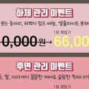 바디벨르 이미지