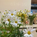 꾸까 봄꽃학교 3월 ㅣ 플라워 와인데코