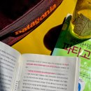 패션계 환멸 속에서 찾은 답: 내가 파타고니아 창업자에게 배운 것 | <더트백 억만장자> 서평