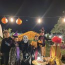 비행기나무 이미지