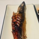 털보고된이 - 의정부시 평화로542번길 7-8 | 털보고된이