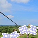라플라이 이미지