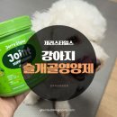 초록동물병원 | 강아지 슬개골 영양제 동물병원 입점 제리스타일스 급여 후기