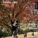 레드모텔 | 2025.11.19 국토대장정 서울에서 부산까지 11일차 ( 대구 ➡️ 가창 20km )