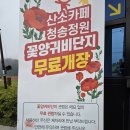 청송김치