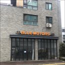 블루 모터스 이미지