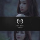 윙스(wings)