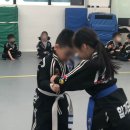 장지합기도 강류관 이미지