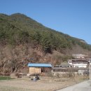 새남식당 이미지