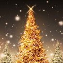 동일택시(주) 이미지