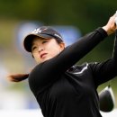 뉴타운골프클럽 이미지