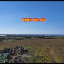 신도리-6 이미지