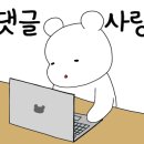 선아일랜드 이미지