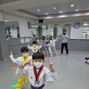 권일 태권도 이미지