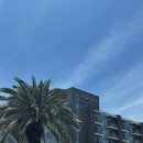 초록마을 무거점 | 제주 해비치호텔 1박2일 커플 호캉스 (feat. 조식 뷔페)