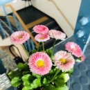 나주시립도서관 이미지