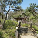 숲속의둥지 이미지