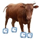 이현교 | December, 2025 🌟