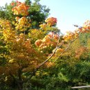 방축마을 이미지