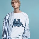 그레이핏 이미지