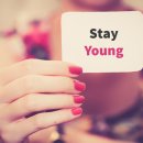 오로라 플러스 이미지