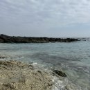 강아지맛집 이미지