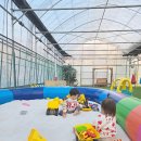 샤론2농장 이미지