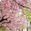 주공8단지 이미지