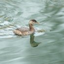 우주 행정사 사무소 이미지