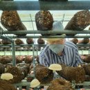 창녕-창녕-창녕센터-15 이미지