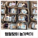 명절 음식 농가먹기 활동