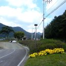 경천 체육공원 이미지