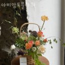 아비앙또 이미지