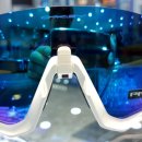 진보안경원 이미지