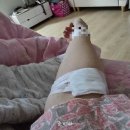 금빛여성의원 이미지