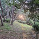 콩밭가인 - 계룡시 | 콩밭가인