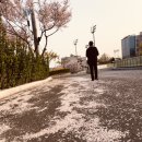 경산생활체육공원 이미지