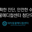 대치동물메디컬센터 이미지