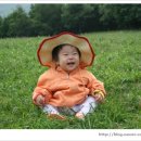 지연목장 이미지