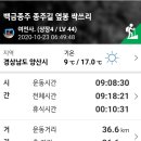 백금 이미지