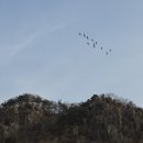 일출농원