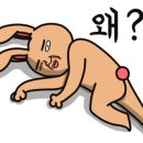 동근이숯불두마리치킨 이미지
